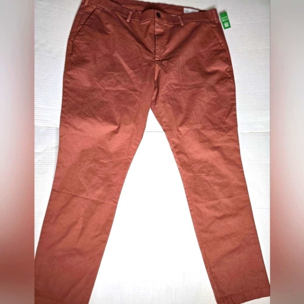 NWT Gap Skinny Fit Trousers